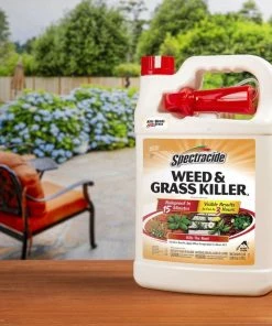 Best reviews of 🔔 Spectracide Weed & Grass Killer - Ready to Use, 1 Gallon - 96017 - Insecticides 😉 -Cheap Lawn Store 94486c95a673b7cf9e0977068b947d9b60751de2 23060002 5