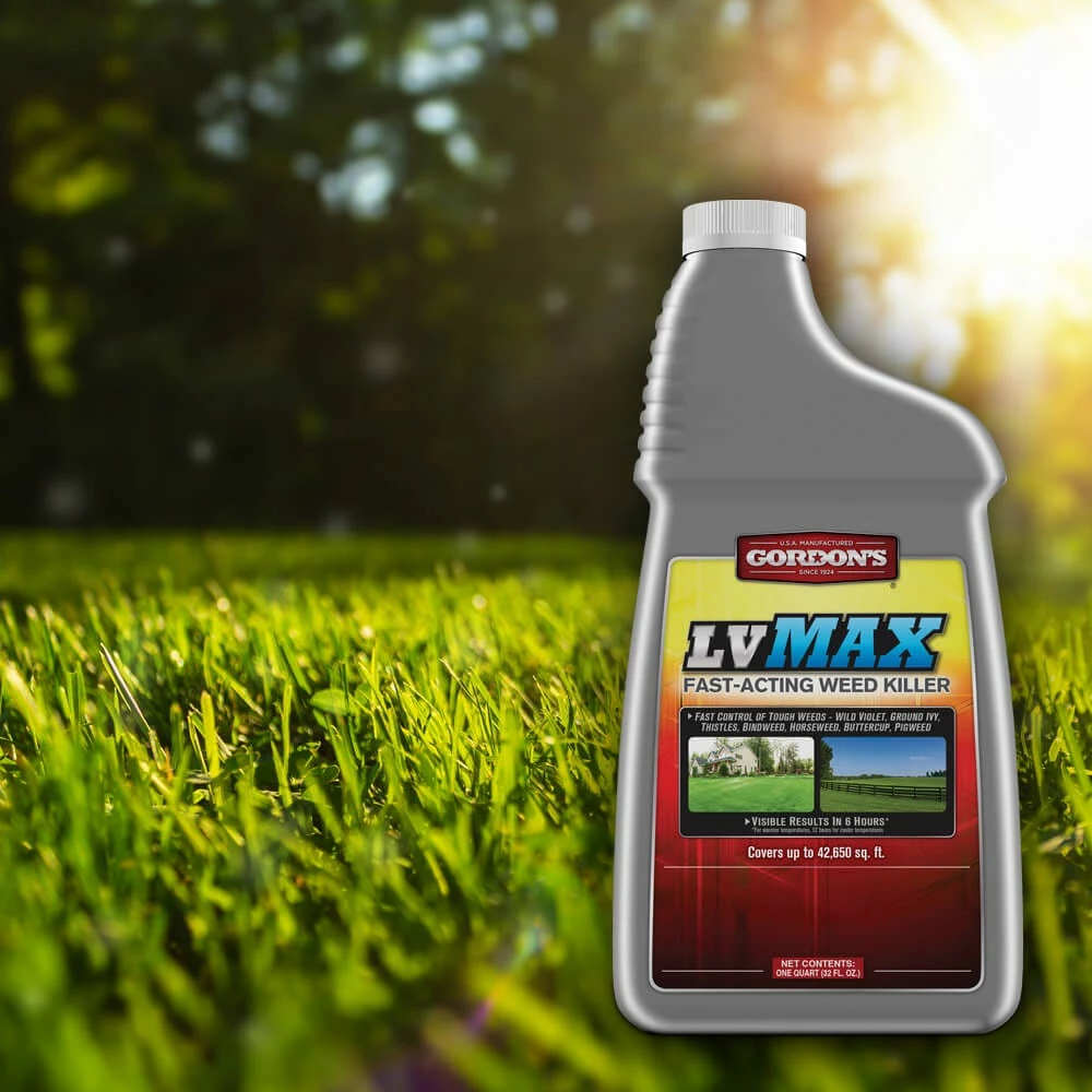 Cheapest π₯° Gordon's LV MAX Fast-Acting Weed Killer Concentrate, 1 Quart -Β 70010540 - Lawn Weed Killer π 3 Cheapest π₯° Gordon's LV MAX Fast-Acting Weed Killer Concentrate, 1 Quart -Β 70010540 - Lawn Weed Killer π - Image 3
