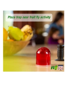 Deals π Rescue Fruit Fly Traps, 2 Pack - FFTR2-BB4 - Baits & Traps π€© 8 Deals π Rescue Fruit Fly Traps, 2 Pack - FFTR2-BB4 - Baits & Traps π€© -Cheap Lawn Store 9ab43332f228143f8c97140b3fde5453d301a64b 237640028 4