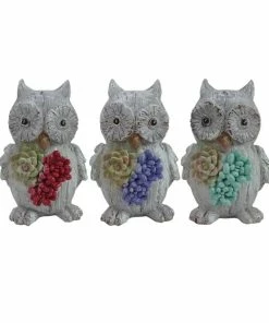 Cheap 👍 Alpine Succulent Floral Owl Statue - Assorted QWR1044ABB - Garden Accessories 🔥