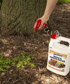 Best reviews of 🔔 Spectracide Weed & Grass Killer - Ready to Use, 1 Gallon - 96017 - Insecticides 😉 -Cheap Lawn Store af25df3271dc5960a08a3a2130b04b71e6b13a3e 23060002 4