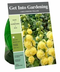 Outlet 👏 Van Zyverden, Inc. Van Zyverden Inc. Hollyhocks Yellow 00795 - Garden Center 👏