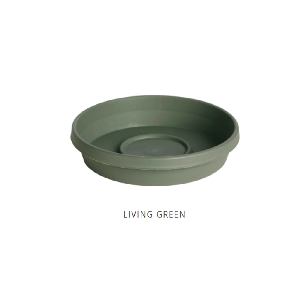 Best deal π Bloem Terra 6" Living Green Saucer - 51406 - Decorative Planters π 1 Best deal π Bloem Terra 6" Living Green Saucer - 51406 - Decorative Planters π