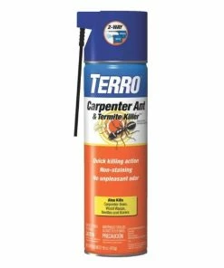 Top 10 🥰 TERRO Termite and Carpenter Ant Control Aerosol - 10006339 - Insecticides 🧨