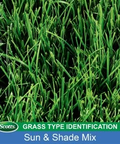 Coupon ✔️ Scotts Turf Builder Sun & Shade Mix Grass Seed, 7 lb. - 18221 😀 -Cheap Lawn Store bea6502c52a2dcf2040680721791b386ab07b3fa 19990065 4