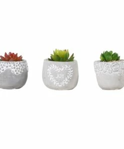 Cheapest 🌟 Alpine Succulent with Cement Pot Planter - Assorted KGD324ABB - Garden Accessories 🔔