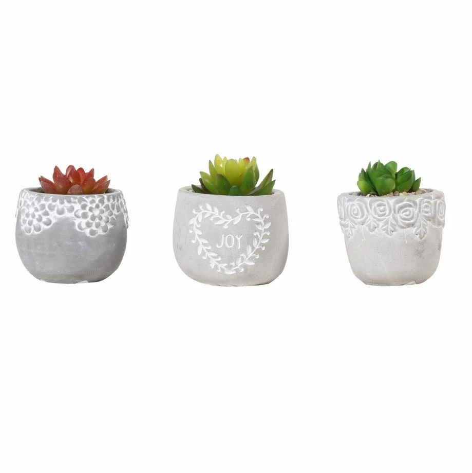 Cheapest π Alpine Succulent with Cement Pot Planter - Assorted KGD324ABB - Garden Accessories π 1 Cheapest π Alpine Succulent with Cement Pot Planter - Assorted KGD324ABB - Garden Accessories π
