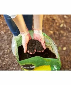 Best reviews of π― Miracle-Gro All-Purpose In-Ground Use Garden Soil, 1 cu. ft. - 70551430 - Fertilizers & Plant Food π 12 Best reviews of π― Miracle-Gro All-Purpose In-Ground Use Garden Soil, 1 cu. ft. - 70551430 - Fertilizers & Plant Food π -Cheap Lawn Store c29951361c980e1a04783b242eb2e150d38bd5a0 19990526 5