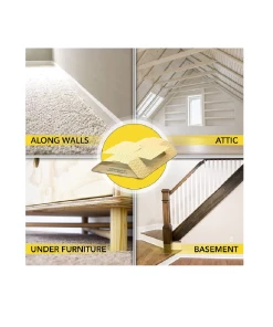 Flash Sale π PF Harris Spider Traps with Lures, 2 Pack - STRP - Bug Candles & Zappers β 9 Flash Sale π PF Harris Spider Traps with Lures, 2 Pack - STRP - Bug Candles & Zappers β -Cheap Lawn Store c35c75d29f0ade63b55bb12b3375d7fc0ae808e6 12714001 2