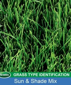 Top 10 🧨 Scotts Turf Builder Grass Seed Sun & Shade Mix, 20 lbs. - 18249 💯 -Cheap Lawn Store c506567f8cf8834aa83c5bd46fd45c7c72b0123f 19990537 7