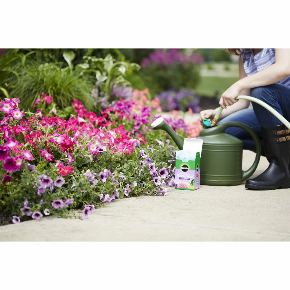 Best deal π― Miracle-Gro Water Soluble Bloom Booster Flower Food, 1 lb. - 1360011 - Fertilizers & Plant Food β¨ 2 Best deal π― Miracle-Gro Water Soluble Bloom Booster Flower Food, 1 lb. - 1360011 - Fertilizers & Plant Food β¨ - Image 2