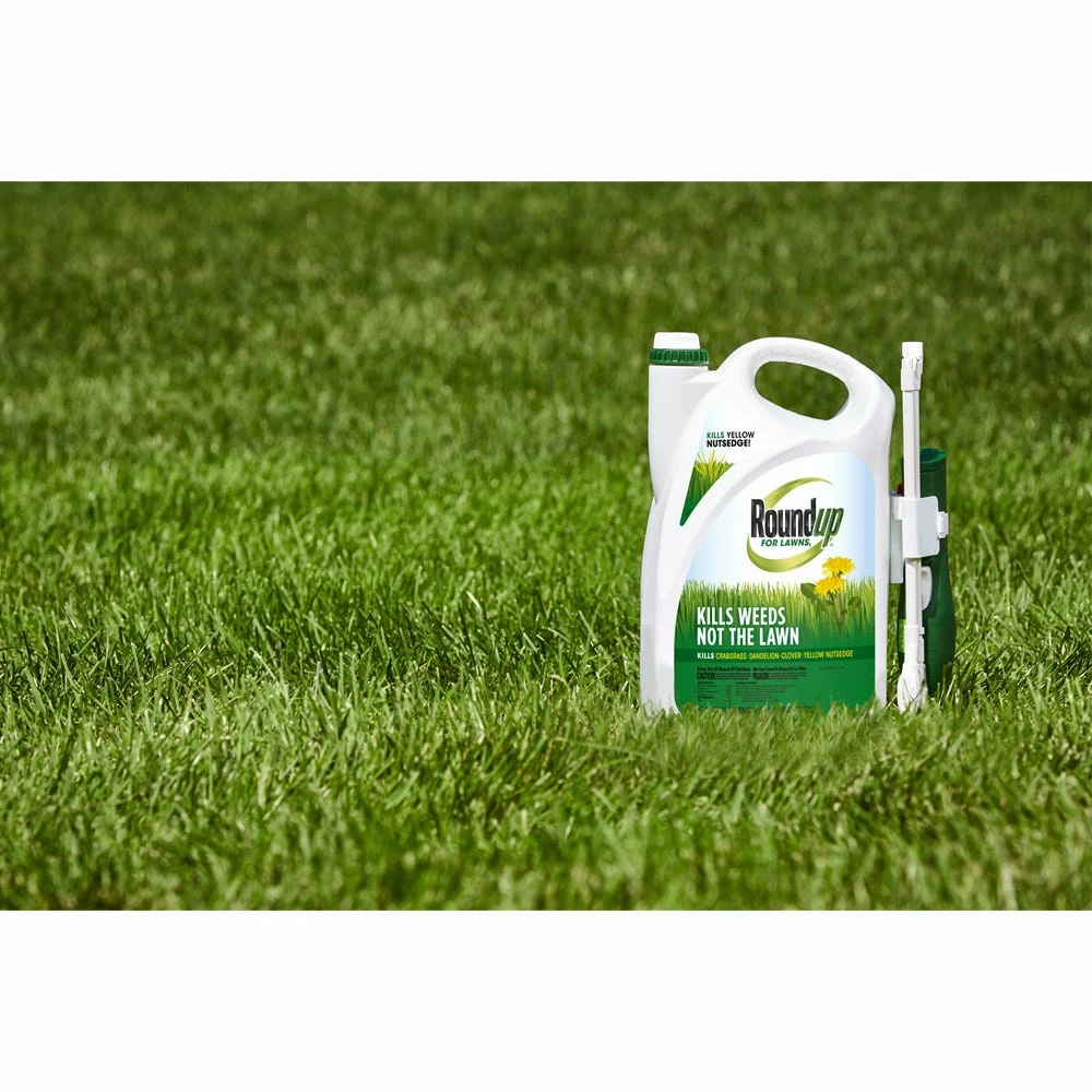 Best Sale π Roundup For Lawns 1 (Northern) with Extended Wand, 1.33 Gallon - 4385010 - Herbicides π 3 Best Sale π Roundup For Lawns 1 (Northern) with Extended Wand, 1.33 Gallon - 4385010 - Herbicides π - Image 3