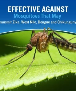 Best deal ✔️ Cutter Backwoods Aerosol Insect Repellent, 6 oz. Twin Pack - HG-96282 - Insecticides ❤️ -Cheap Lawn Store d0a7a4930cffed63e19f5381ed4630f212a7f15d 13200353 8 1