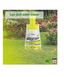Best Sale π Rescue Japanese Beetle Traps - JBTZ-DB12 - Baits & Traps π 5 Best Sale π Rescue Japanese Beetle Traps - JBTZ-DB12 - Baits & Traps π -Cheap Lawn Store d14294943da6cdf39664514d4c476dafa07a3cb2 237640029 3