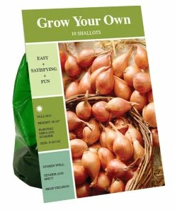 Outlet 😀 Van Zyverden, Inc. Van Zyverden Inc. Shallots 00938 - Garden Center 🎁