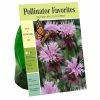 Deals 👏 Van Zyverden, Inc. Van Zyverden Inc. Monarda Beauty Of Cobham 01988 - Garden Center 🧨