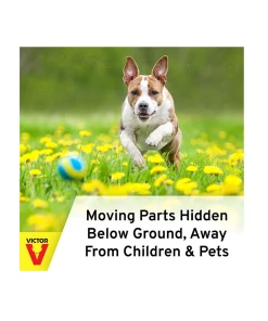 Wholesale 🎁 Victor Out O' Sight Mole Trap - 0631 - Baits & Traps ⌛ -Cheap Lawn Store d88cf8f4097b28abfbd496a6f50eeed3bc4e6c26 7840001 4