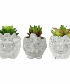 Promo 🛒 RK Brand Alpine Animal Cement Pot With Succulent Assorted - WQA1212ABB - Garden Accessories 🔥