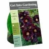 Best deal 😍 Van Zyverden, Inc. Van Zyverden Inc. Hollyhocks Black 00797 - Garden Center 👏
