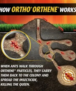 Hot Sale 👍 Ortho Orthene Fire Ant Killer1, 12 oz. - 0282210 - Insecticides ✔️ -Cheap Lawn Store de1e41a31606895bd3146e934d14b67ec27da146 4100006 8