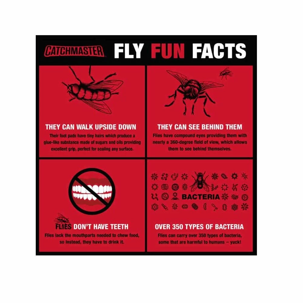 Deals π Catchmaster Scented Bug and Fly Catcher Fly Ribbon - 9144B4 - Bug Candles & Zappers β 5 Deals π Catchmaster Scented Bug and Fly Catcher Fly Ribbon - 9144B4 - Bug Candles & Zappers β - Image 5