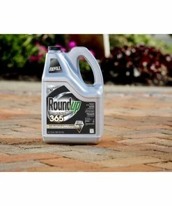 Buy π Roundup Ready-To-Use Max Control 365 Vegetation Killer Refill, 1.25 Gallon - 5000710 - Weed & Plant Control 𧨠10 Buy π Roundup Ready-To-Use Max Control 365 Vegetation Killer Refill, 1.25 Gallon - 5000710 - Weed & Plant Control 𧨠-Cheap Lawn Store e95ab0e04dbb483a12d40db1a4c8ee7c26fdfd17 62580612 3