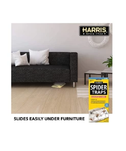 Flash Sale π PF Harris Spider Traps with Lures, 2 Pack - STRP - Bug Candles & Zappers β 8 Flash Sale π PF Harris Spider Traps with Lures, 2 Pack - STRP - Bug Candles & Zappers β -Cheap Lawn Store ea3086aa980b39aec44381c3e655e82314b88026 12714001 1