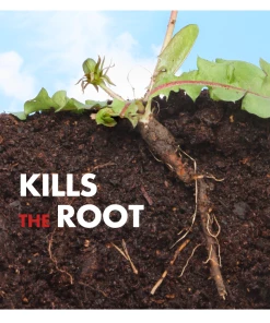 Hot Sale 🥰 SPECTRACIDE® Weed & Grass Killer2 With ACCUSHOT® Sprayer - HG-96370 - Herbicides ⌛ -Cheap Lawn Store ead3a7319349990839adf6db9c0f823e2c13b6a4 90051062 7