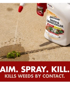 Hot Sale 🥰 SPECTRACIDE® Weed & Grass Killer2 With ACCUSHOT® Sprayer - HG-96370 - Herbicides ⌛ -Cheap Lawn Store ecc30f410df0f4cea22b6f57f3f0953ff0a315b7 90051062 4