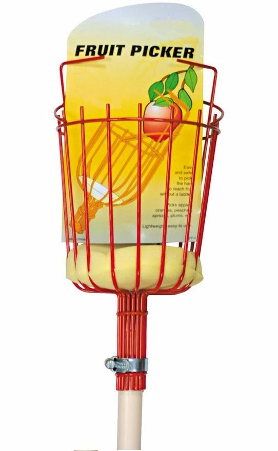 Outlet π₯° Various Brands Fruit Picker - Lawn & Garden Tools 𧨠2 Outlet π₯° Various Brands Fruit Picker - Lawn & Garden Tools 𧨠- Image 2
