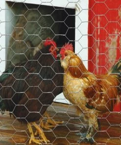 Deals 🤩 Garden Craft 60" x 50' Chicken Wire with 1" Openings - 166050 - Fence and Wire ⭐ -Cheap Lawn Store ee4fc1ef6ccb3e2818ed8e3b53c1059f2347e874 166050 5