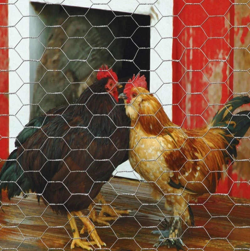 Deals π€© Garden Craft 60" x 50' Chicken Wire with 1" Openings - 166050 - Fence and Wire β 6 Deals π€© Garden Craft 60" x 50' Chicken Wire with 1" Openings - 166050 - Fence and Wire β - Image 6