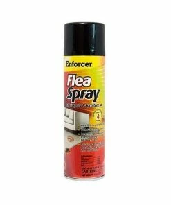 Cheap 😍 Enforcer Flea Spray for Carpets and Furniture, 14 oz. Can - FS14 - Foggers ⭐
