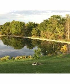 Best Sale 🎉 Pond Champs Black Lake & Pond Dye, 1 Gallon - 00411 - Lake Dyes 🤩 8 Best Sale 🎉 Pond Champs Black Lake & Pond Dye, 1 Gallon - 00411 - Lake Dyes 🤩 -Cheap Lawn Store f14104cfad0c4a955fa15b52d3752e31a6d61417 30430008 4