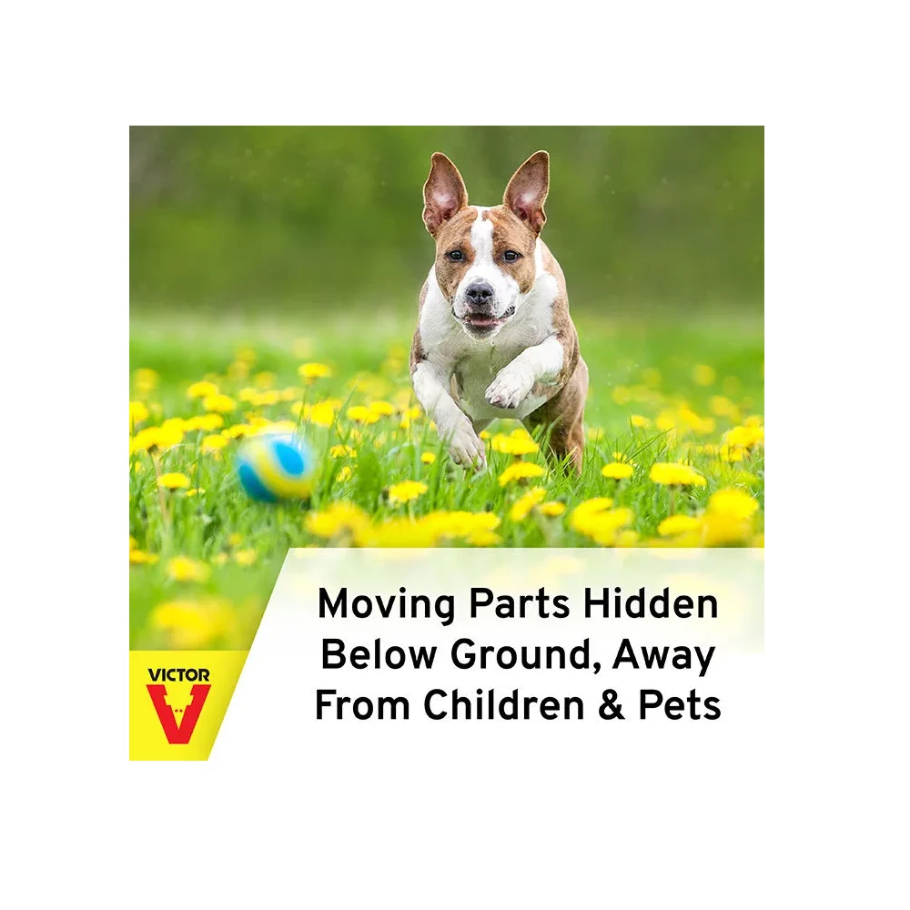 Coupon ✔️ Victor Plunger Style Mole Trap 0645 - Baits & Traps ❤️ 5 Coupon ✔️ Victor Plunger Style Mole Trap 0645 - Baits & Traps ❤️ - Image 5