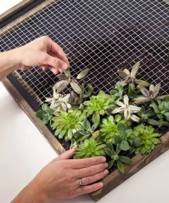 Best reviews of 🛒 Garden Craft 36" x 25' Galvanized Hardware Cloth with 1/2" Openings - 133625 - Fence and Wire ✔️ -Cheap Lawn Store f4f92ef98b60181f1bc9d5ef84549c95ecb80c3a 133625 4