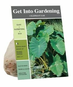 New 🔔 Van Zyverden, Inc. Van Zyverden Inc. Elephant Ear - small 09501 - Garden Center ✨