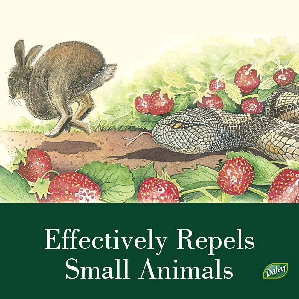 Cheapest π Dalen Natural Enemy 6' Inflatable Snake Scarecrow - NE-SR - Animal Repellants π₯ 5 Cheapest π Dalen Natural Enemy 6' Inflatable Snake Scarecrow - NE-SR - Animal Repellants π₯ - Image 5