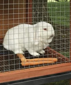 Brand new β€οΈ IronRidge 30" x 10' Welded Wire Garden Fence with 1/2" x 1" Openings - 403010 - Fence and Wire π― 9 Brand new β€οΈ IronRidge 30" x 10' Welded Wire Garden Fence with 1/2" x 1" Openings - 403010 - Fence and Wire π― -Cheap Lawn Store fce69258e547f4dfc2c7d7da947e9fc3c7728d19 70370090 5