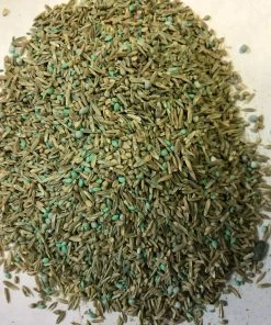 Budget 🤩 Hancock's Pasture Mix South, 25 lb. Bag - HSC0503 - Seeds & Bulbs 👍