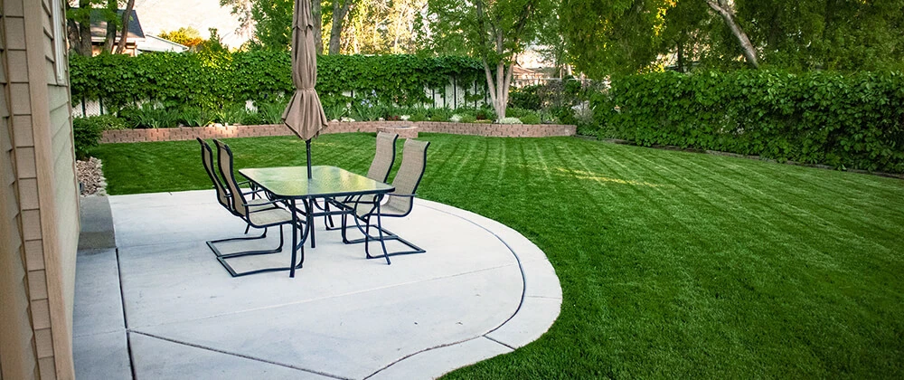 Cheap Lawn Store -Cheap Lawn Store 183